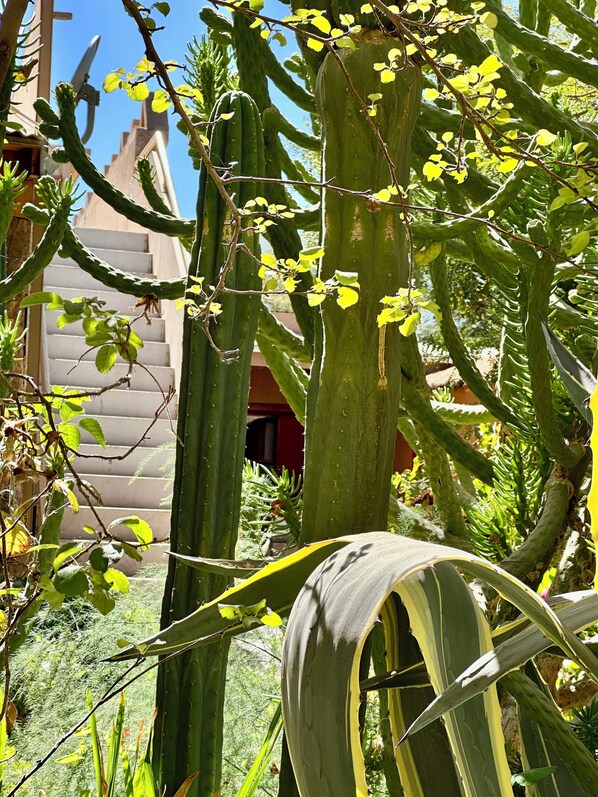 Exterior - hostal qachisolcor (San Pedro de Atacama)