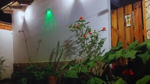 Un jardín con plantas en macetas y un cerco de madera.