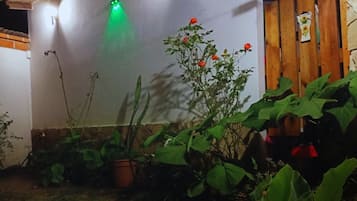 露台/庭院