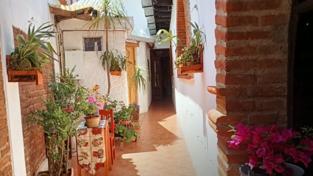 Un pasillo estrecho con plantas en macetas y una mesa con sillas, que conduce a una puerta.