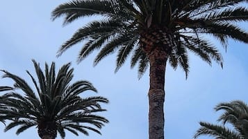 接待處
