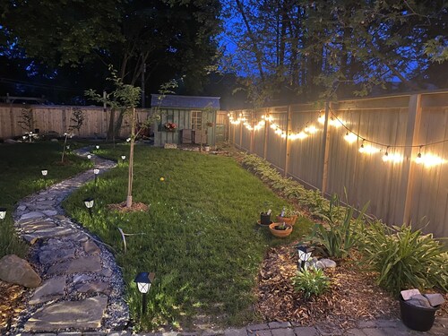 Renovated Studio Suite - City Central!