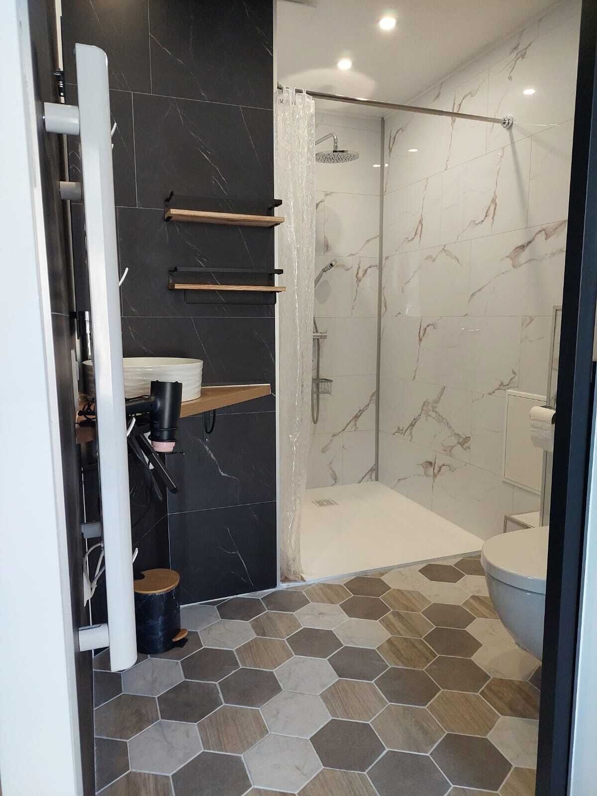 Shower, hair dryer, toilet paper