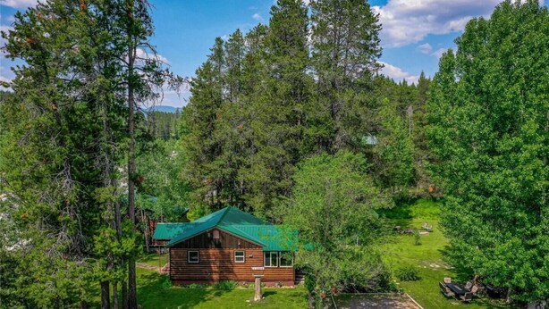 A rustic cabin surrounded by dense forest.