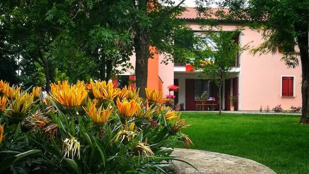 A garden with yellow flowers and a pink building in the background. - The house on Via Argine, the flavors and colors of the countryside (Veneto)