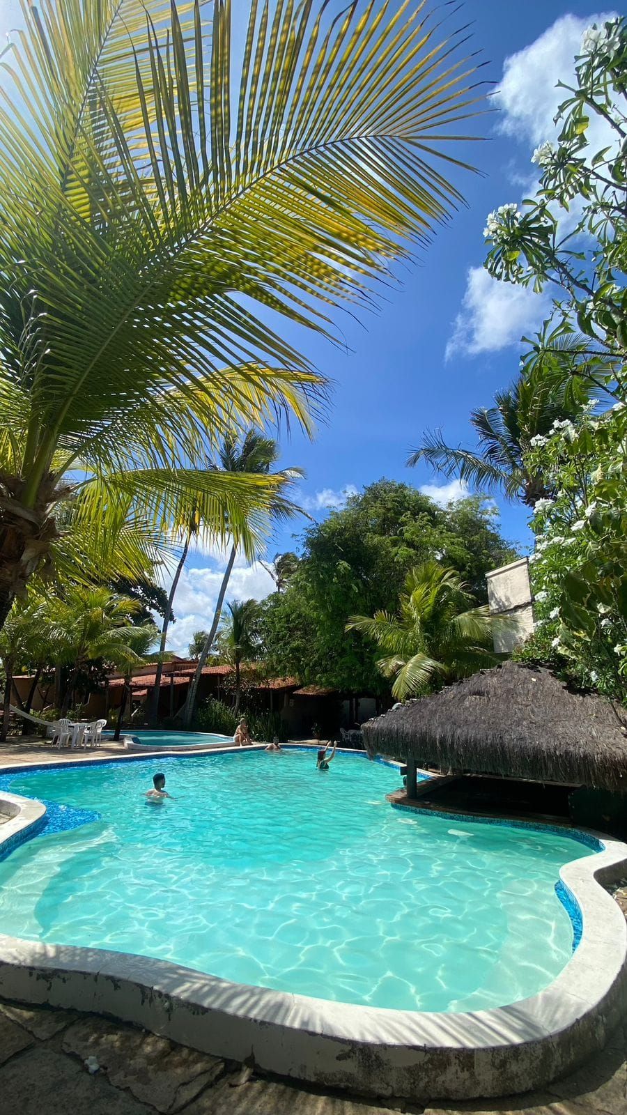 A swimming pool surrounded by palm trees and a thatched-roof structure.
