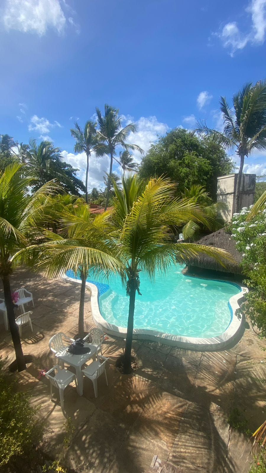 Una piscina rodeada de palmeras y sillas de plástico blancas.
