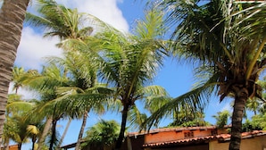 A courtyard with palm trees, a hammock, and a building with a red roof.