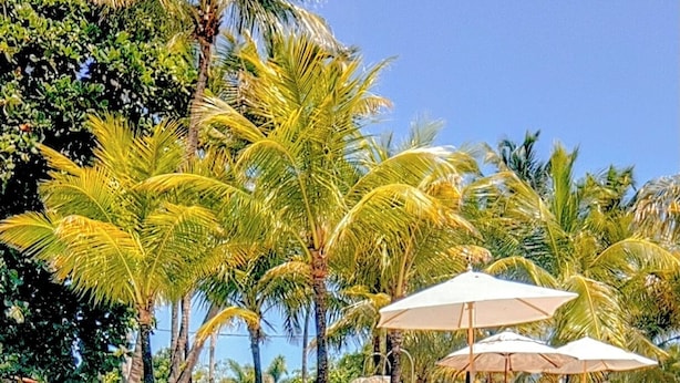 A man in a swimming pool with clear blue water, surrounded by palm trees and lounge chairs.