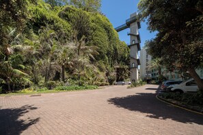 A paved road with parked cars, lush greenery, and a building with a modern design.