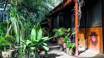 Vista al jardín