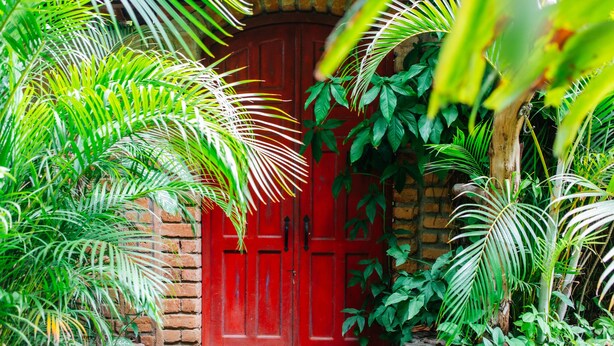 A red door surrounded by lush green foliage. - PURE Gym - Spa - Yoga - Lodging (Granada)