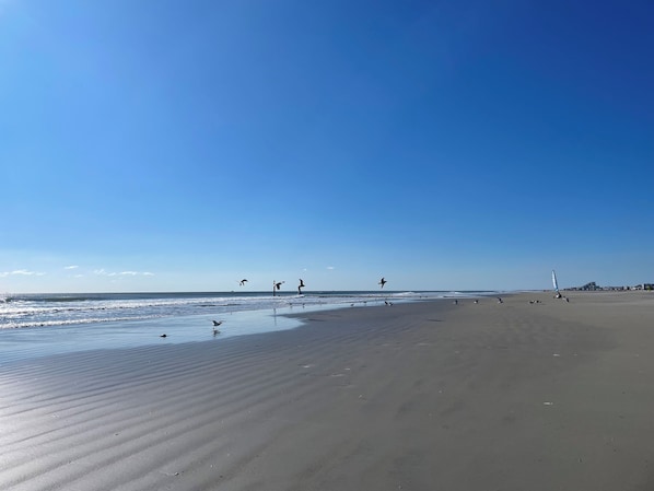 Beach nearby, sun-loungers