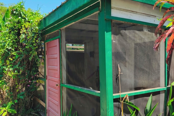 Dobbeltrom – basic, 2 soverom, ikke-røyk, privat bad | Safe på rommet, wi-fi (inkludert) og sengetøy