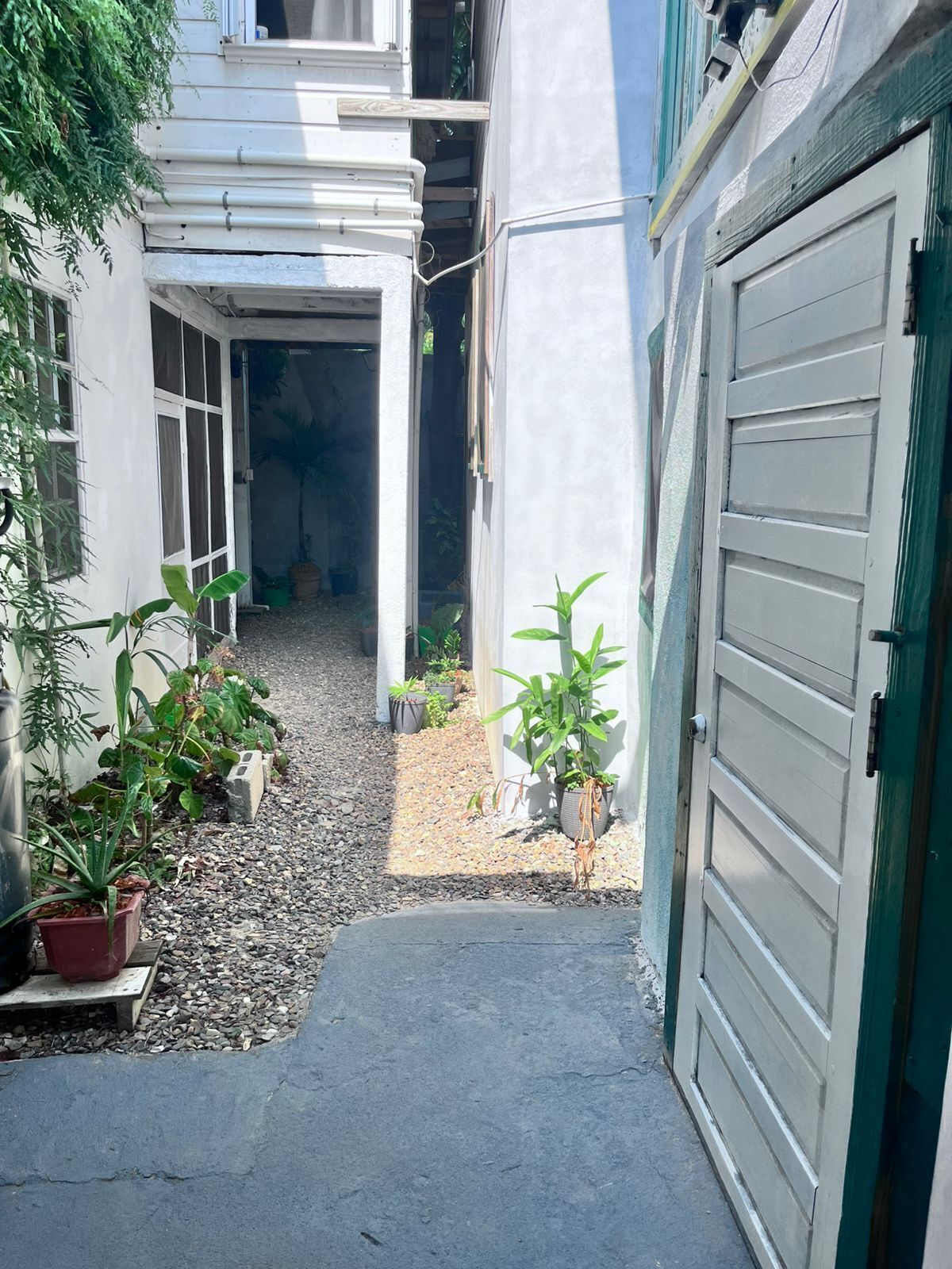 Garden view