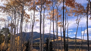 A forested area with tall trees and a lake in the background. - Crib house studio cabin - mountain views, .25mls to lake, quiet comfort! (Twin Lakes)