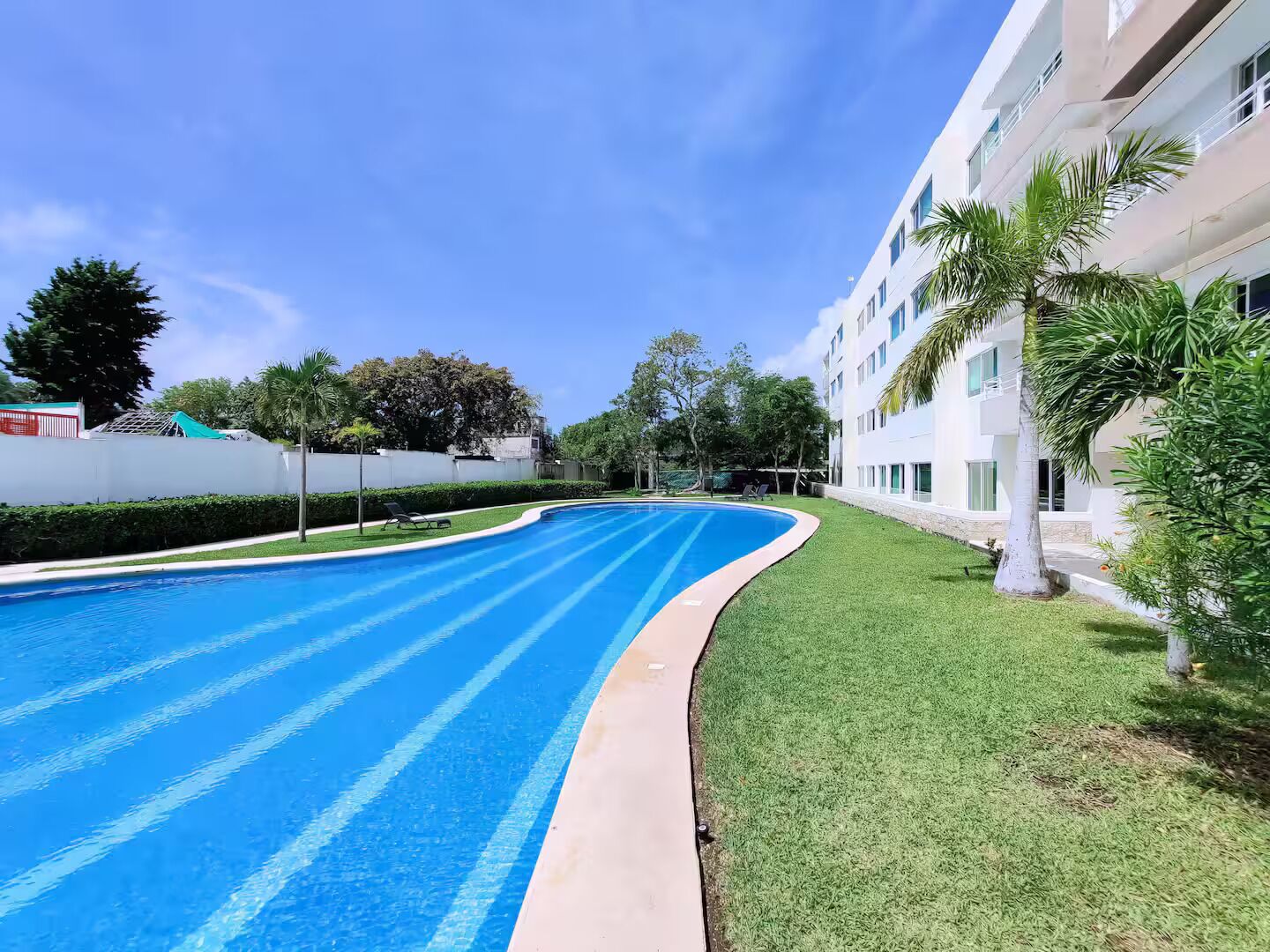 A swimming pool with a curved edge, surrounded by well-maintained grass and palm trees.