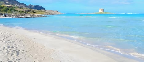 在海灘附近