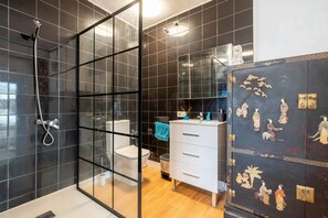 Shower, hair dryer, towels