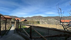 A vineyard with wooden fences, a gravel path, and houses in the background.