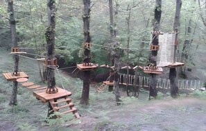 Une zone boisée équipée de plateformes en bois, de cordes et d’échelles.