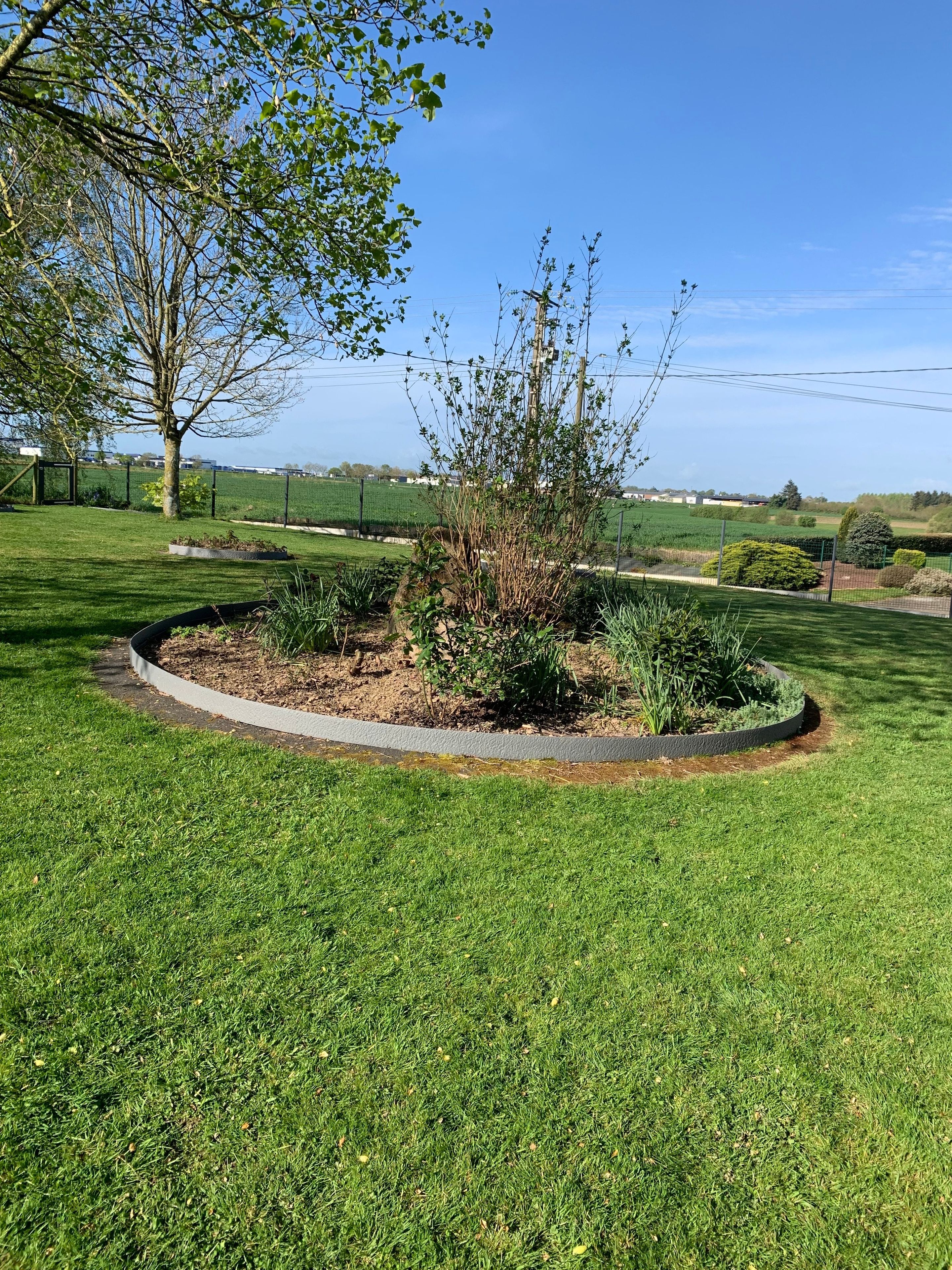 A well-maintained garden with a circular flower bed, a tree, and a grassy lawn.