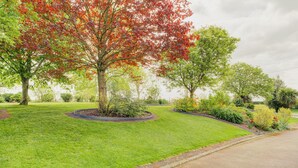 A well-maintained grassy area with trees and shrubs, a paved path, and a clear sky.