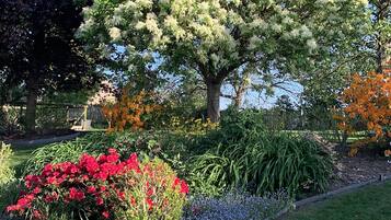 Un giardino con diverse piante fiorite e alberi.
