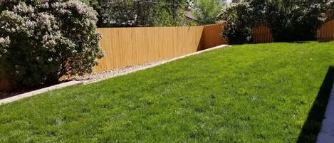 A well-maintained lawn with a wooden fence and a bush.