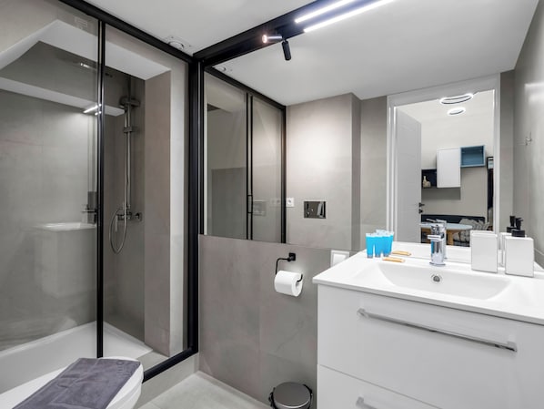 Shower, hair dryer, towels