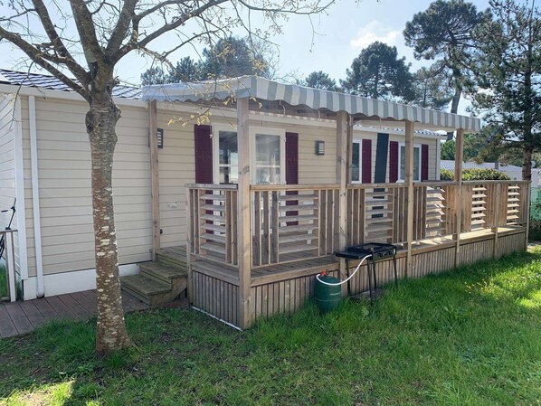 Terras