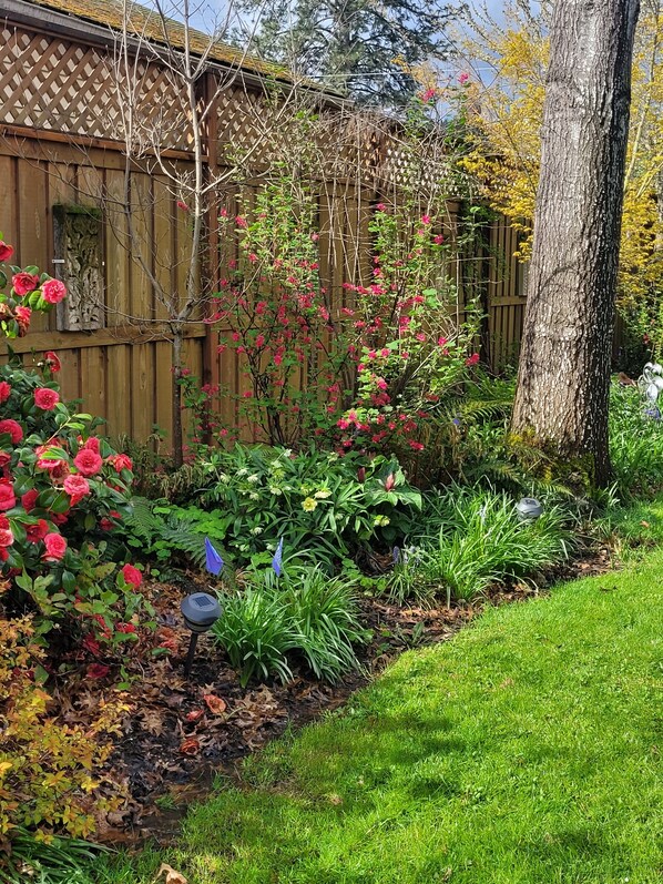 A garden with a wooden fence, flowering plants, and a tree. - The Nest in South Eugene (Eugene)