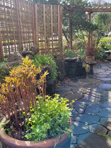 The Nest in South Eugene