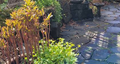 The Nest in South Eugene