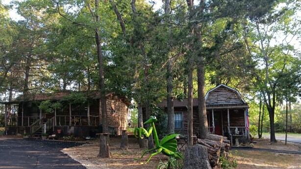 A rustic cabin with a porch, surrounded by trees and a paved driveway. - 2 Cabins 1 Price Themed Cabins 2 Miles from Trade Days (Canton)