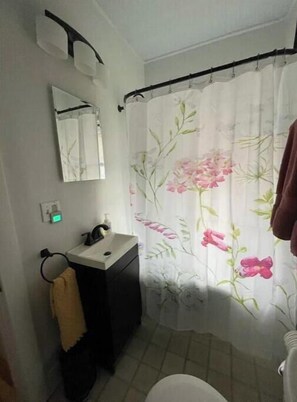 Hair dryer, towels, soap, shampoo