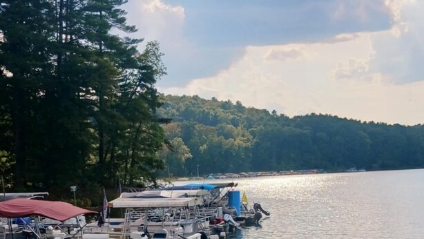 A marina with boats docked, surrounded by trees and a clear sky. -  The Reel Cottage Leesville Lake No Stairs, firepit, fireplace  NEW WIFI 6/3 (CARROLLTON)