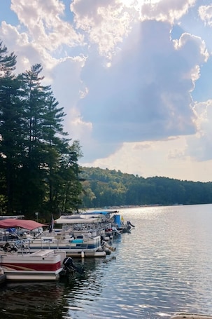 Marina. The Reel Cottage Leesville Lake No Stairs, firepit, fireplace NEW WIFI 6/3