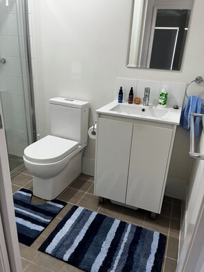 Dusche, Haartrockner, Handtücher, Seife