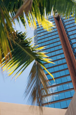 Detalle del exterior