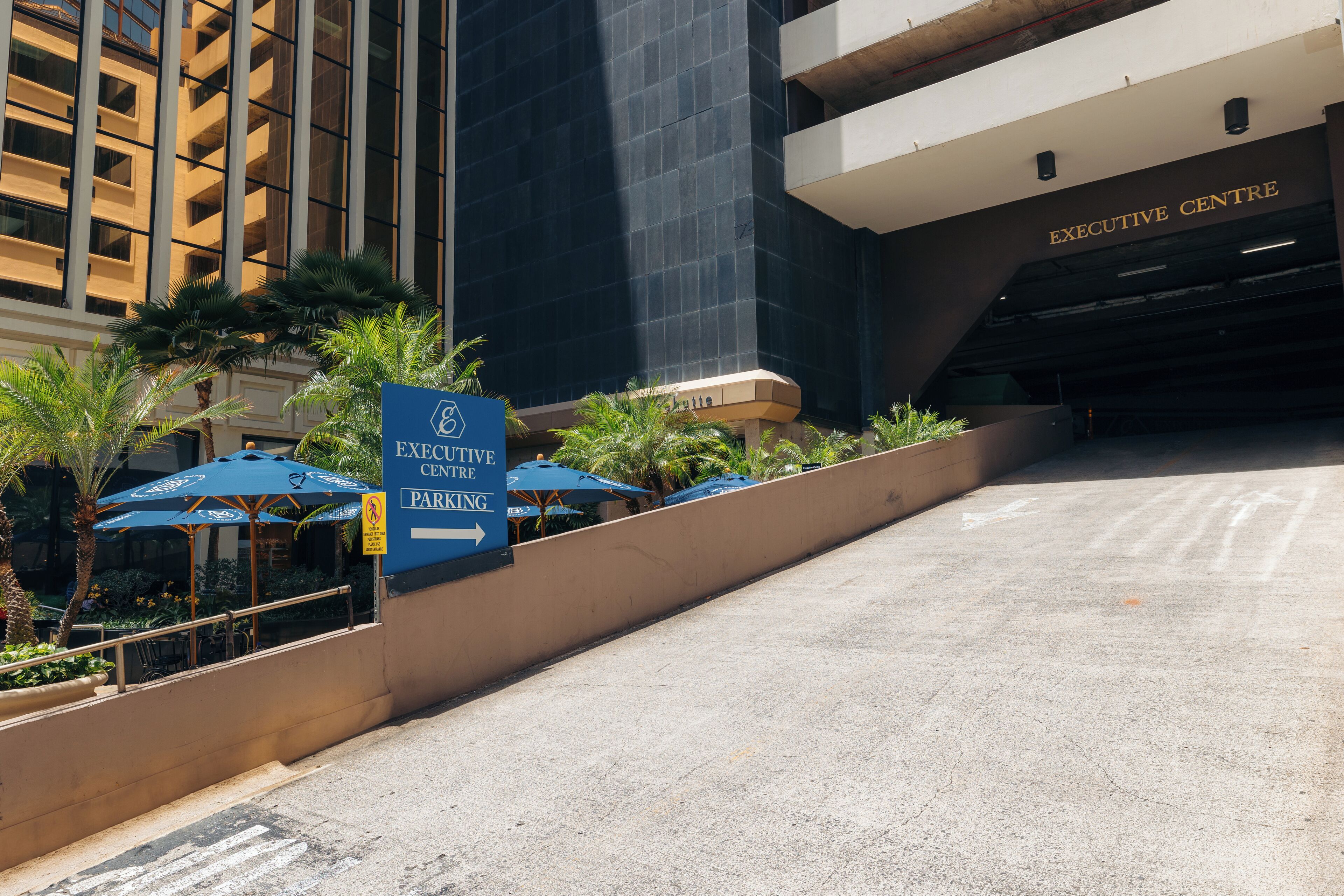 Un área de estacionamiento con un letrero del Executive Centre, palmeras y asientos exteriores con sombrillas.