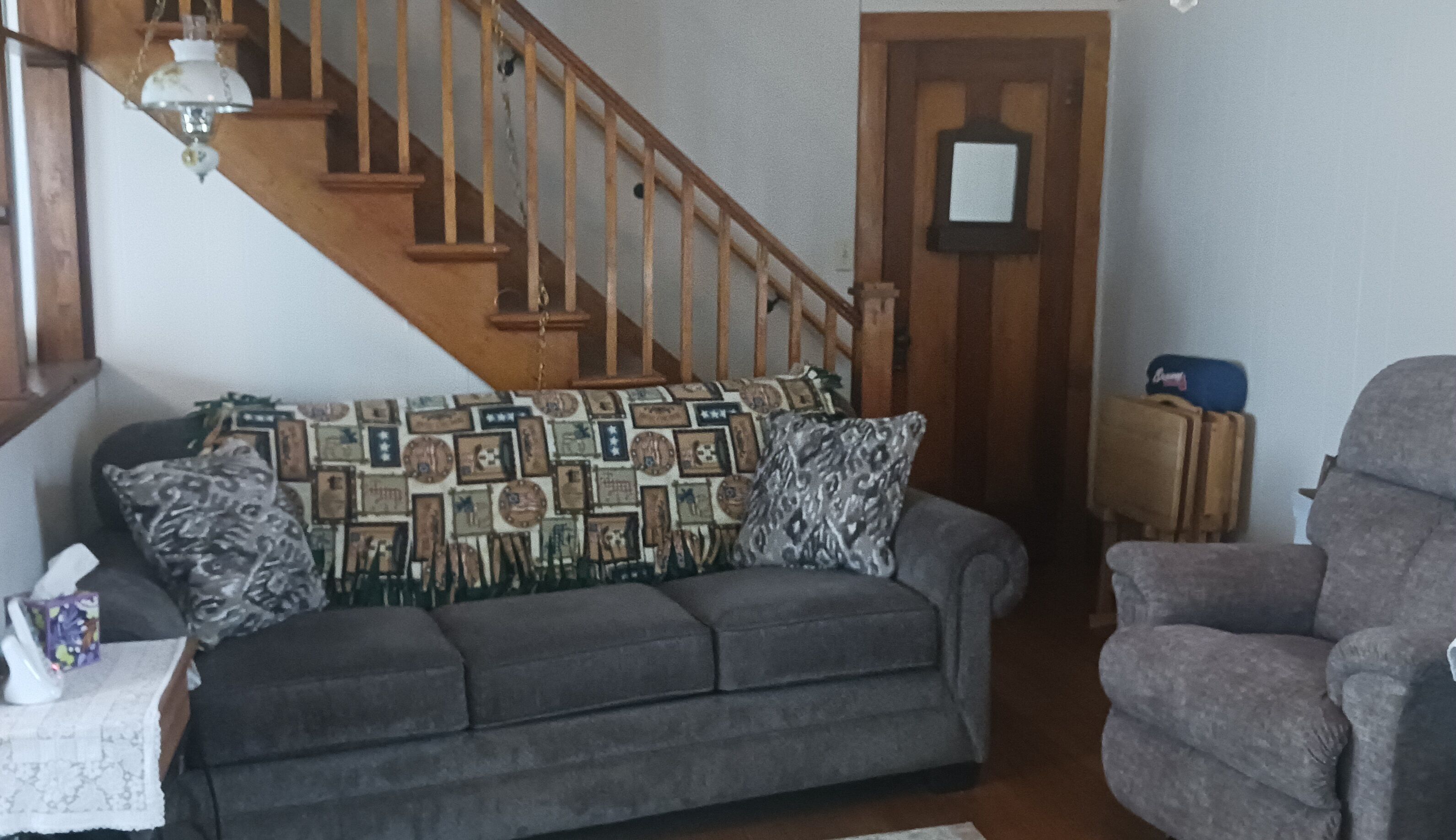 Televisión, chimenea y libros 