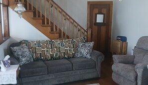 TV, fireplace, books