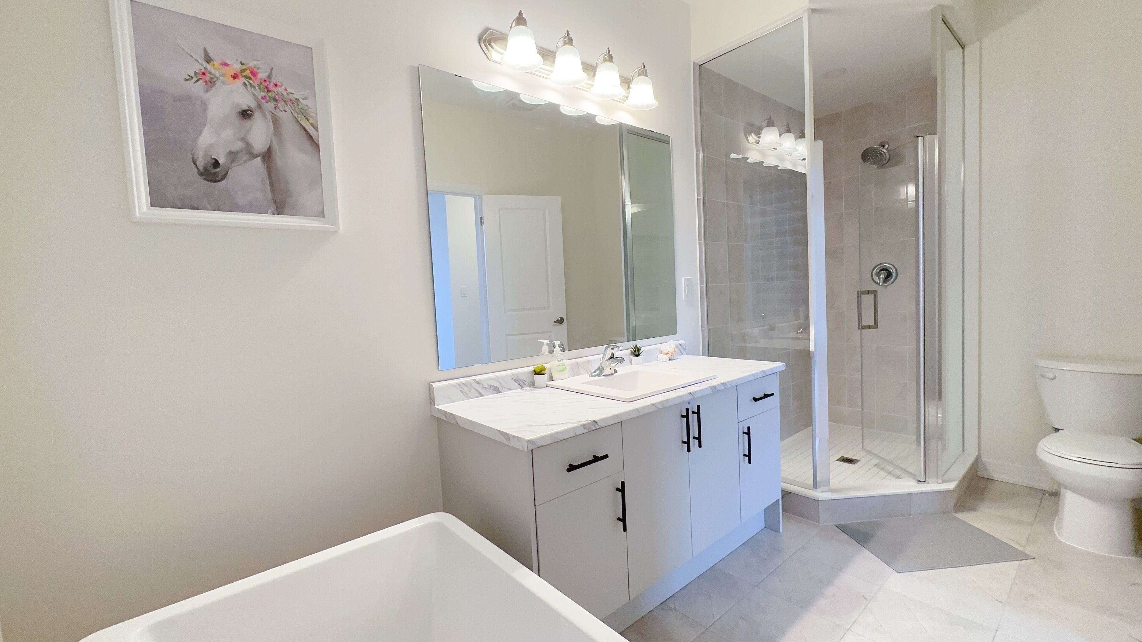 Secador de cabelo, toalhas de banho, sabonete, shampoo