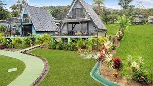 A modern house with a sloped roof, surrounded by a well-maintained garden with various plants and a pathway.