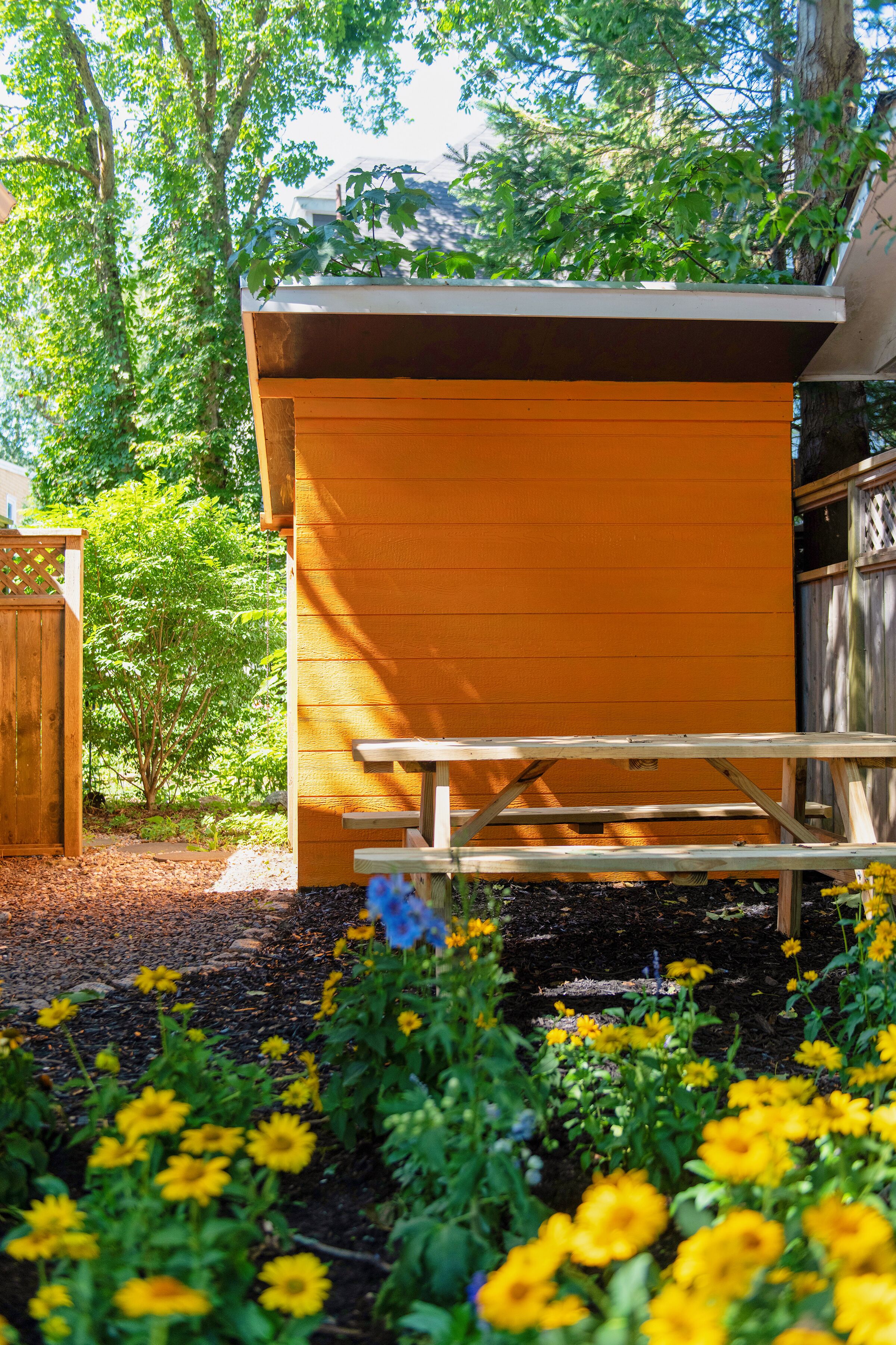 Foto - Downtown Sustainable Garden House