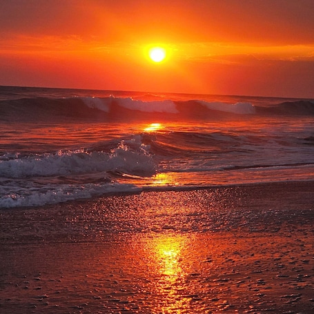 På stranden. 4 Bed Oceanfront Suite - 17 minutes from El Salvador's International airport!