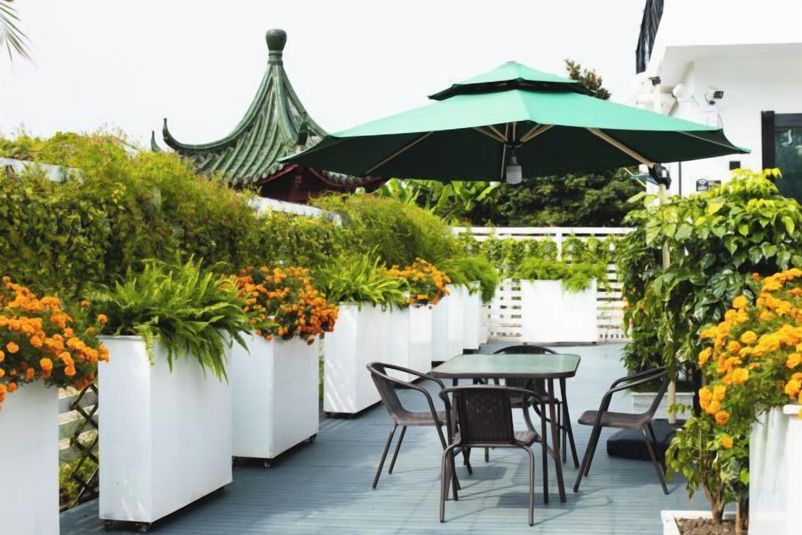 Un patio al aire libre con una mesa y sillas, rodeado de macetas blancas con flores naranjas y una sombrilla verde que da sombra.