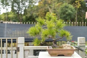 A bonsai tree in a pot on a table with a stone base, set against a backdrop of a fence and trees. - Shanghai Qichi homestay (Shanghai)