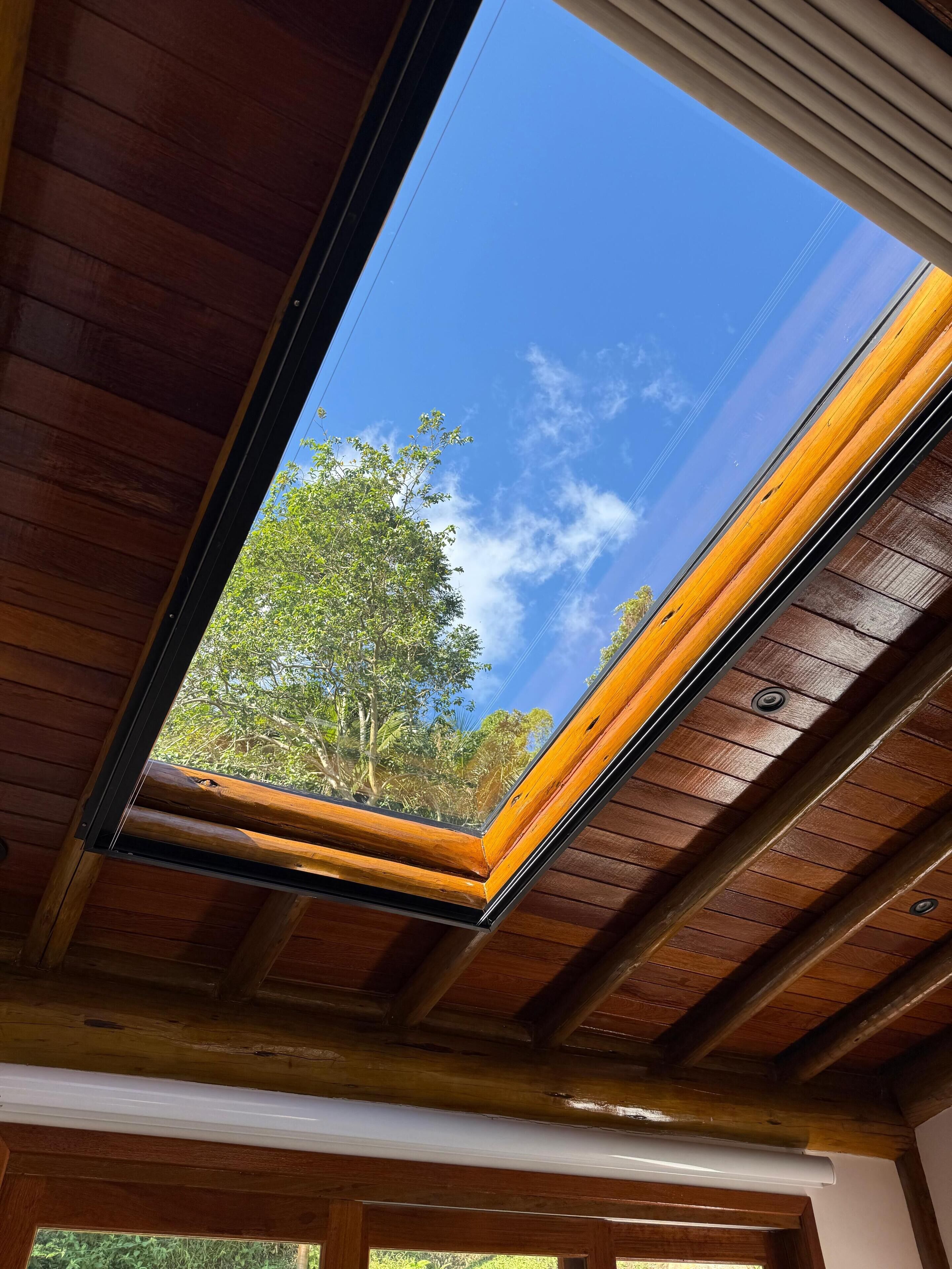 A skylight with a view of trees and a clear blue sky.